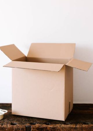 pexels-karolina-grabowska-4498135 (1)