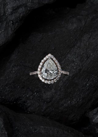 pexels-say-straight-1400349-2735981